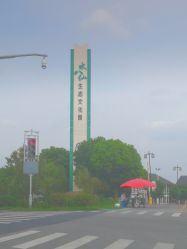 -水八仙生态园