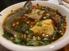 -金海椒罐罐鲢鱼(东方桂苑店)