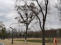 -洋湖国家湿地公园