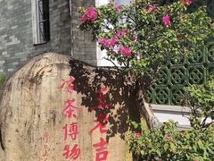 -广州神农草堂中医药博物馆