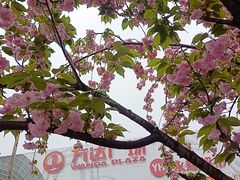 -万达广场(松江店)