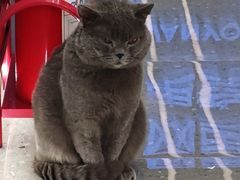 -网鱼网咖·电竞(南开百脑汇店)