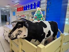 -红星前进面包牛奶公司(君太店)