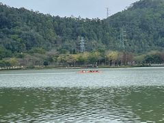 -顺峰山公园