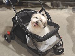 -香雪海饭店中餐厅(湖滨店)