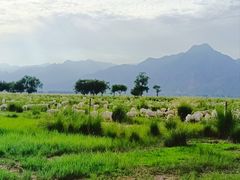 -敕勒川草原文化旅游区