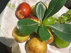 -季季山·云南野生菌火锅(上海首店)