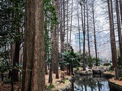 -中山公园