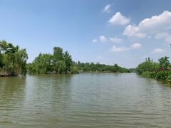 -白鹭湾湿地公园