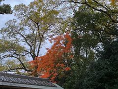 -天王寺公园