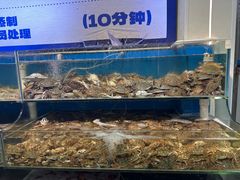 -仙螺岛海鲜自助餐厅(总店)