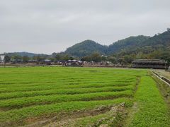 -红山村