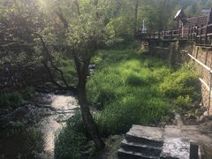 -Local泰莲庭(虹鳟鱼店)