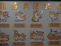 -有喵·猫咖·狗咖·40+猫狗有小奶狗(岗厦店)