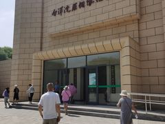 -白洋淀景区
