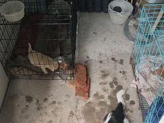 -兰剑驾校(汉阳校区)