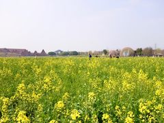 -广富林郊野公园