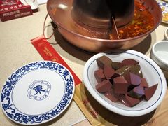 -东镇老火锅(长春路首店)