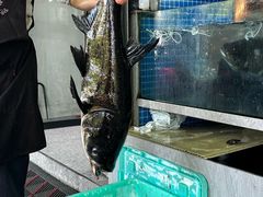 -全乐鱼馆·淳牌有机鱼直营店