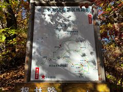 -天女山森林公园