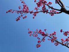 -映月湖公园