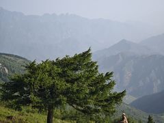-灵山