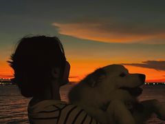 -宝安西湾红树林湿地公园