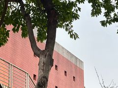-四川大学(望江校区)