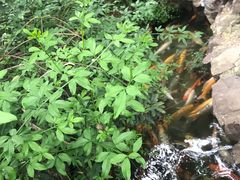 景点-荆川公园