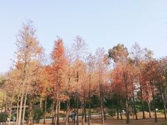 -晓港公园