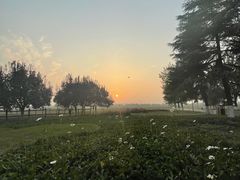 -汉长安城未央宫国家考古遗址公园