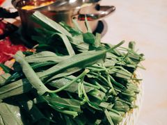 汕头沙地空心菜-合记汕头牛肉店(嘉禾路店)