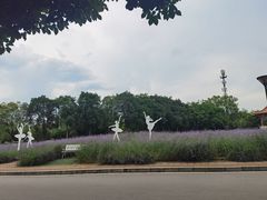 -雀儿山公园