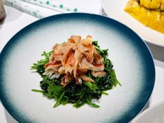 芥兰苗炝拌北极贝-醉舍·新淮扬菜(长宁龙之梦店)