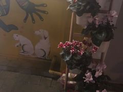 -茶是一枝花泡茶店