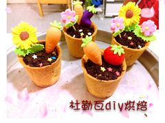 盆栽慕斯-杜勒瓦DIY烘焙&个性化蛋糕定制