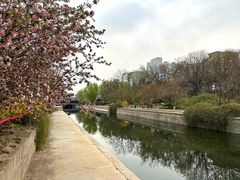 -元大都城垣遗址公园