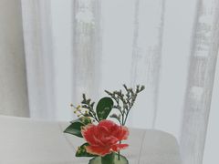 -悦林汤馆(观海店)