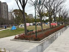 -新江湾城公园