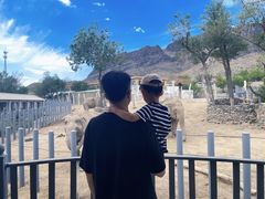 -新疆天山野生动物园