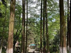 -莫干山风景区