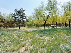 -绿堤公园
