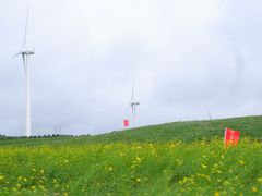 -草原天路(张北县)