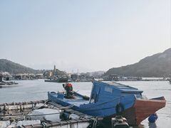 -西澳岛
