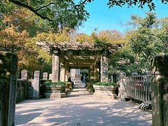 -灵谷景区