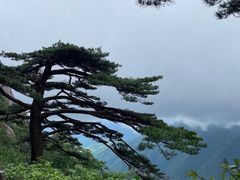 -黄山风景区
