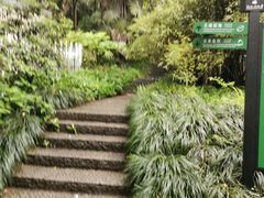 -杭州植物园