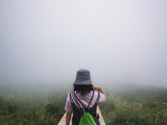 -白草畔自然风景区