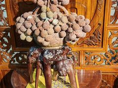 -日日鲜自助餐厅(小公园店)