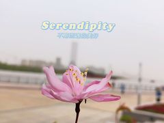 -龙美术馆(西岸馆)